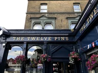 The Twelve Pins logo
