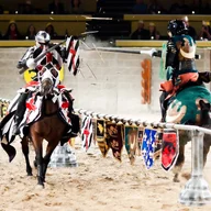 Medieval Times Dinner and Tournament logo