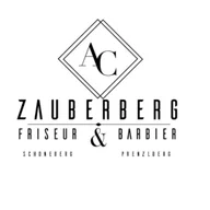 Zauberberg Hair logo