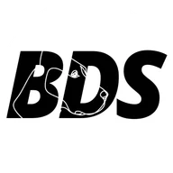 Berlin Dog School logo