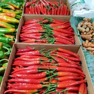 Station Fruit Market logo