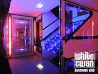 The White Swan Bar logo