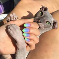 The Best Nails Boston logo