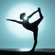 Yoga Is My Land logo