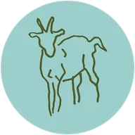 Pecoraro Latteria logo