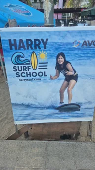 Harry surf school logo