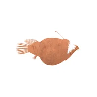 Angler logo