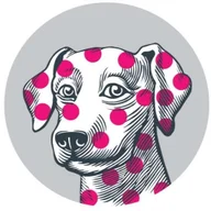 Village Vet Highbury logo