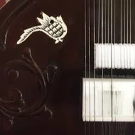 David Balaban Sitar School logo