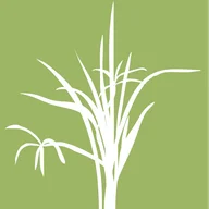 Philippe T. Nguyen, MD logo