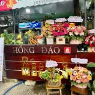 Hồng Đào juice and smoothies logo