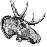 The Kenton Pub logo