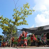 CCSBali International Preschool logo