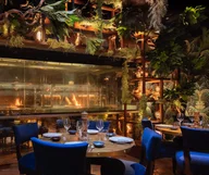 COYA Mayfair logo